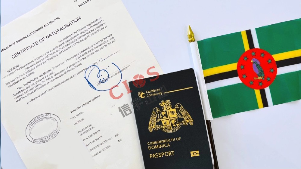多米尼克护照成功案例